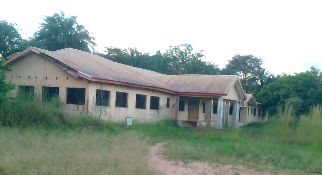 Enugu Development Centres In Crisis As Rodents, Reptiles Take Over Offices