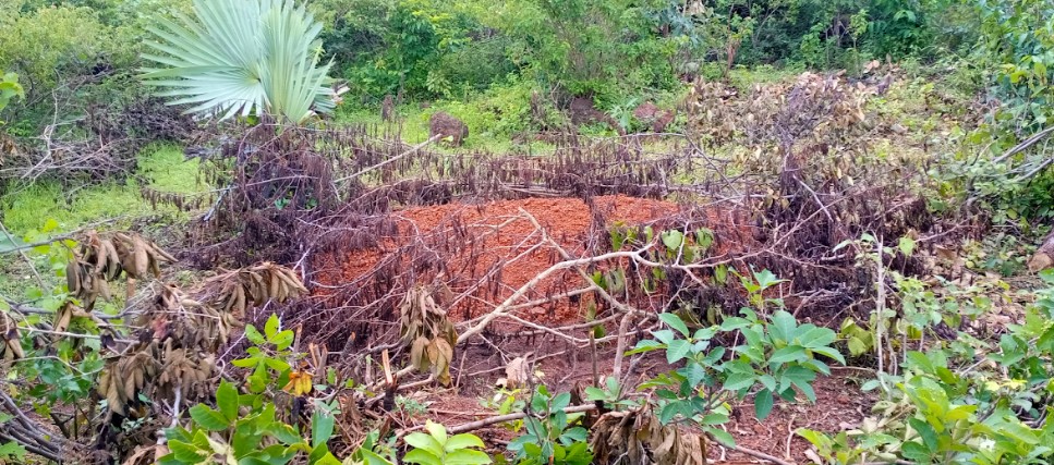 Extrajudicial Killings, Torture, Robbery… Excesses of ‘Ba Beli’ Armed Group Turning Bauchi-Plateau Border into a Bloodbath Field