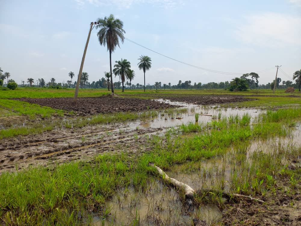 How government poured millions into projects that were never done in Kwara farm settlements